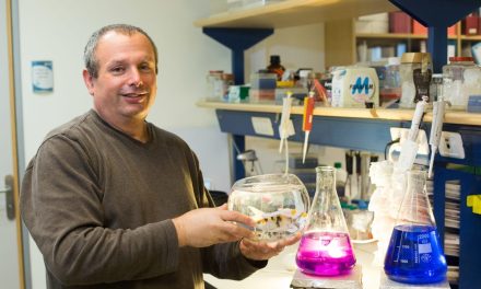 Ahead of Rosh Hashanah, Israeli scientists find carp can resist a deadly virus