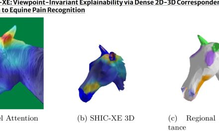 Straight from the horse’s mouth: New Israeli AI helps horses tell us when they are in pain