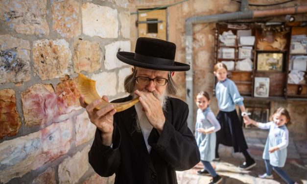 Cutting support for Haredi families would weaken Israel’s demographic resilience, economy – opinion