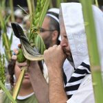 Two three-day cultural festivals to mark Sukkot with poetry, dance, and eco-tours