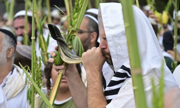 Two three-day cultural festivals to mark Sukkot with poetry, dance, and eco-tours