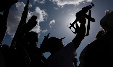 Iranian arms and advice helped Yemen’s Houthis seize key Red Sea city – report