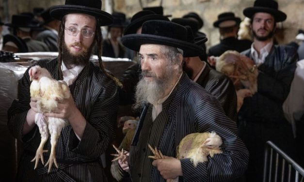 Unnecessary and cruel: Using chickens for kapparot on Yom Kippur violates Jewish values – opinion