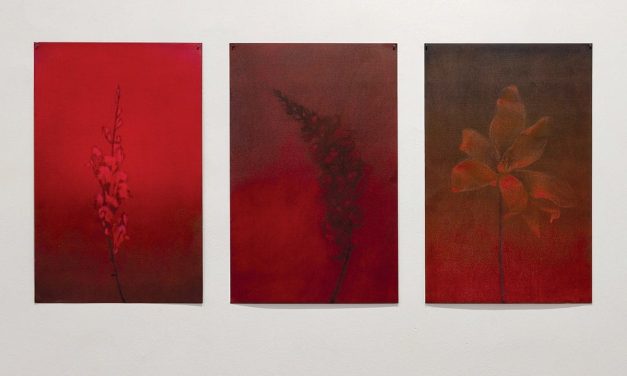New art for a New Year: Jerusalem Artists House unveils a new set of exhibitions – review