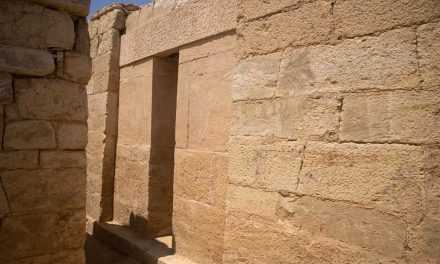 Archaeologists unearth tomb shared by ancient Egyptian judge and his scribe father