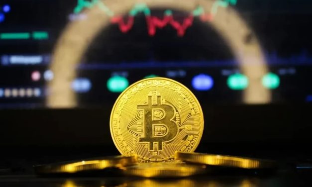 Great comeback: Has crypto winter really ended?