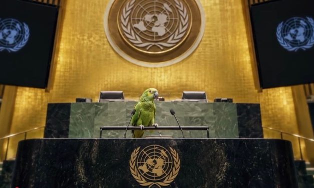 ‘Repeating a lie doesn’t make it true’: Israel releases exposé of UN’s bias before General Assembly
