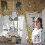 Sukkot 2026: What the sukkah and Four Species teach us about Israeli unity