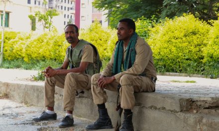 Some 20 Israelis trapped in northern Ethiopia as combat in country intensifies – report