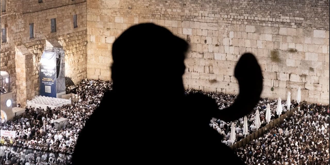 Inheriting moral instincts: How choices become a legacy – opinion