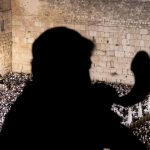 Inheriting moral instincts: How choices become a legacy – opinion
