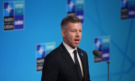Hungary’s government to scrap Orban-era restriction on gay adoption