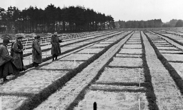 Germany investigates alleged 105-year-old Nazi POW camp guard