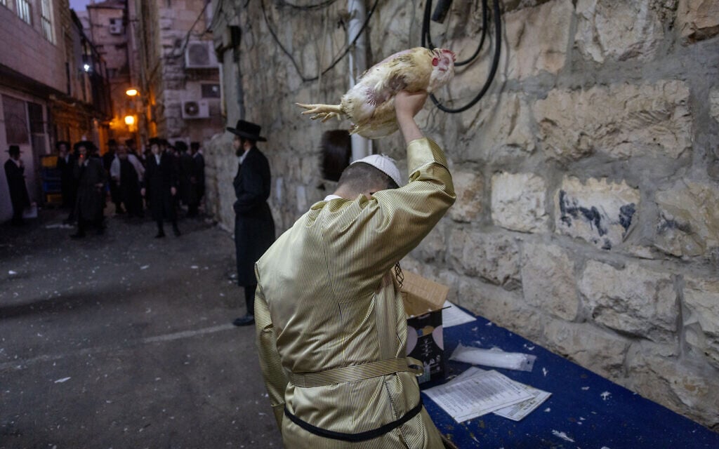 13 municipalities to bar use of live chickens in pre-Yom Kippur ‘kapparot’ ritual, NGO says
