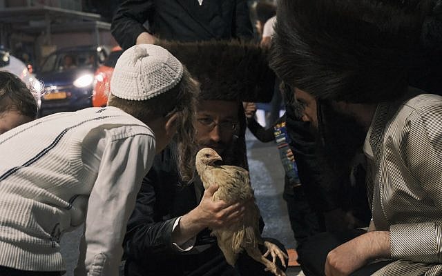 James Hamilton | Kapparot in Jerusalem