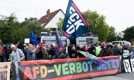 Germany’s far-right AfD makes gains in local elections, fended off by mainstream parties