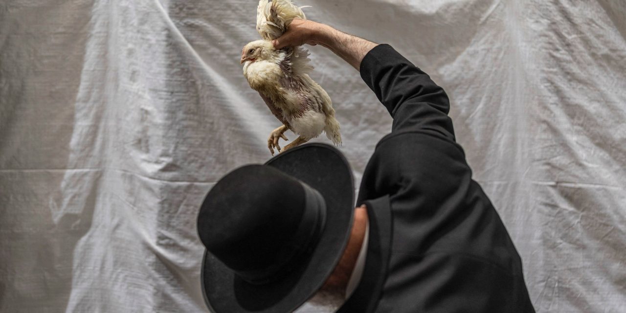 Dead chickens found in trucks likely tied to Orthodox ritual