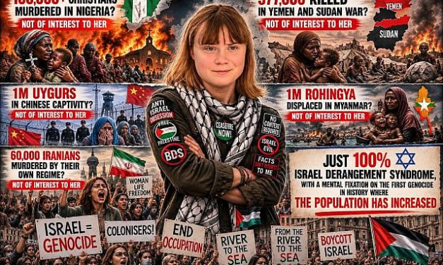 Ed Moss | Greta Thunberg. From climate icon to career activist