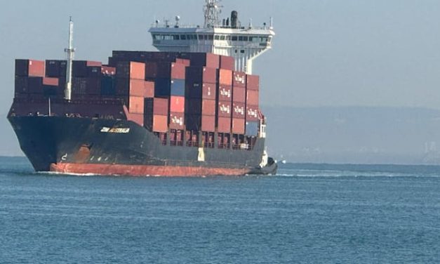 Treasury opposes ZIM deal