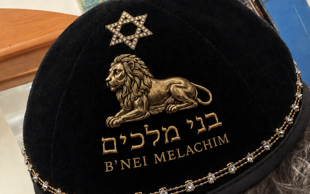 Mikhail Salita | The Lion: King of the Animal Kingdom, Symbol of Jerusalem and Moshiach’s Tribe