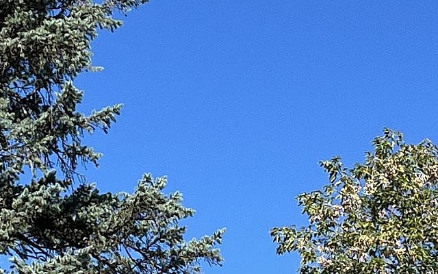 Yoseph Janowski | The sky is blue