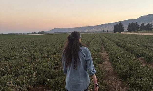 Tzeela Lifshitz | From New Jersey to Northern Israel