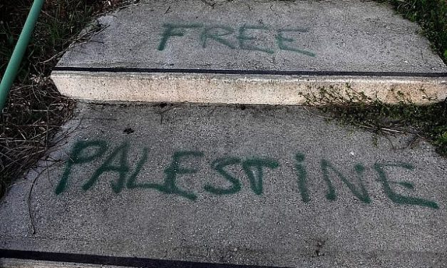 Stephanie Spielman | Free Palestine! They said