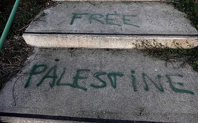 Stephanie Spielman | Free Palestine! They said