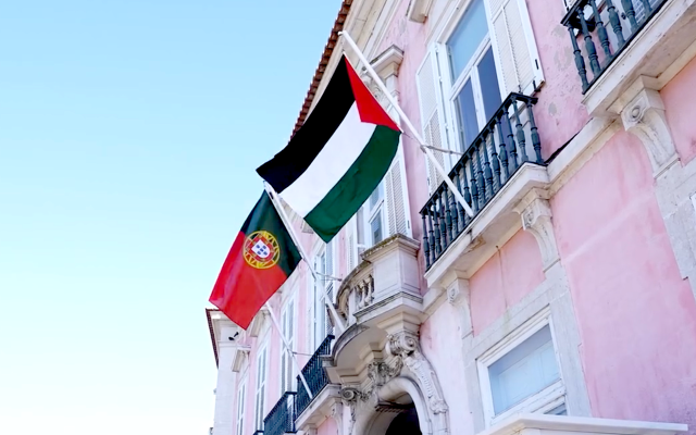 Sofia Afonso Ferreira | Checks from Lisbon to Gaza