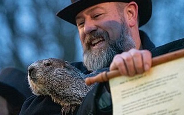Avi Rockoff | Up from Punxsutawney