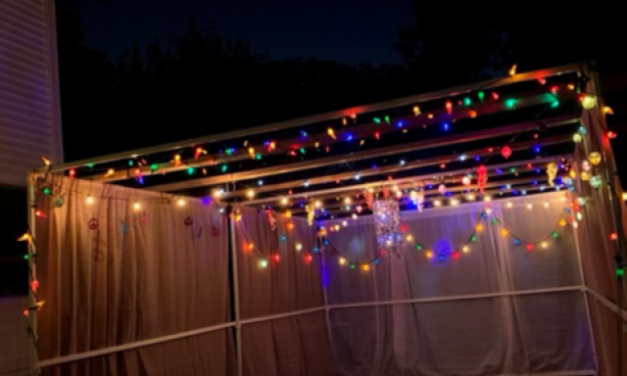Karen Reiss Medwed | Can I Build A Digital Sukkah on Facebook?