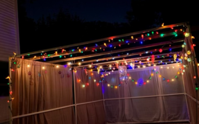 Karen Reiss Medwed | Can I Build A Digital Sukkah on Facebook?