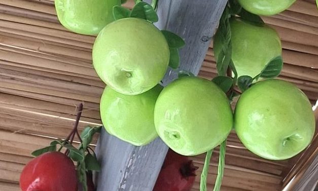 Harold Kandler | Sukkot 5787 thoughts