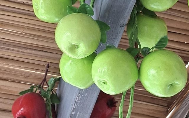 Harold Kandler | Sukkot 5787 thoughts