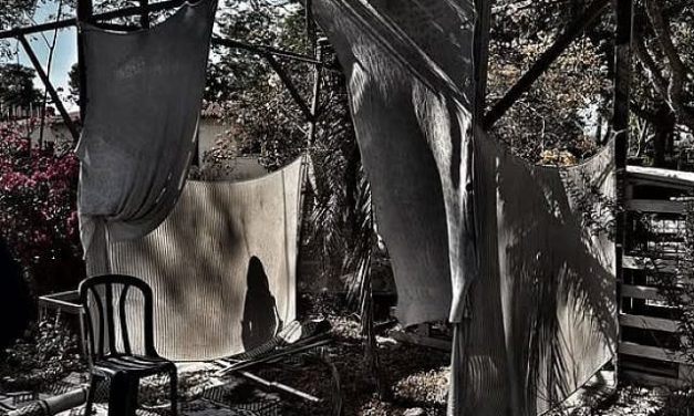 Michael Zoosman | Sukkot and the Shadow of October 7: Uninviting the Angel of Death in Israel