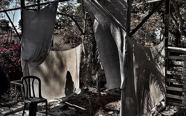 Michael Zoosman | Sukkot and the Shadow of October 7: Uninviting the Angel of Death in Israel