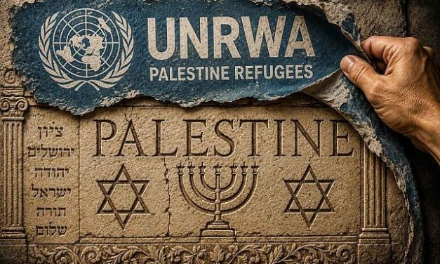 Ivan Bassov | The Palestine Project