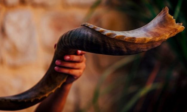 Hyim Shafner | Rosh Hashanah: The Particular and the Universal