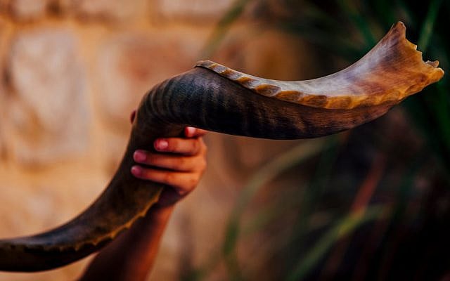 Hyim Shafner | Rosh Hashanah: The Particular and the Universal