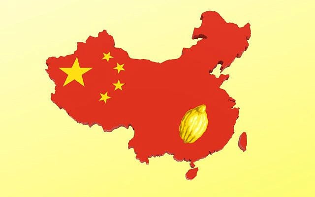 Annette Poizner | The Etrog’s Chinese Secret