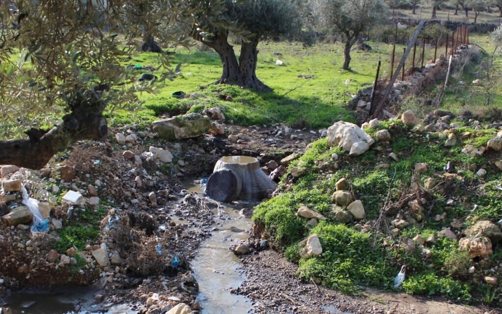 West Bank activist calls for Israeli wastewater control to protect key water source