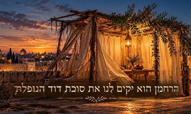 Ben Lazarus | The Fallen Sukkah of David