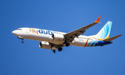 Israel-bound flight diverted to Saudi Arabia after terror attack on board