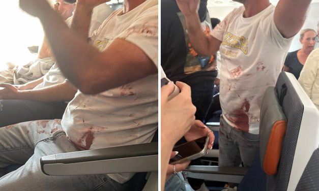 Copilot subdued after stabbing pilot in alleged attempt to crash plane full of Israelis