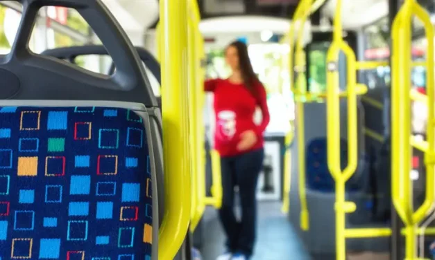 Teen detained over racist attack on Druze woman aboard bus