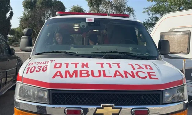 Five injured in rock attack in Samaria