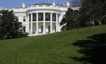 Trump confirms Katie Zacharia as new White House press secretary