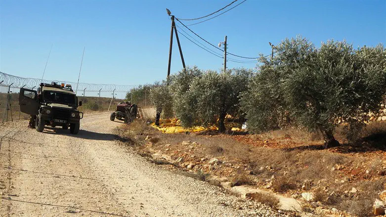 Washington Post photographer injured in attack in Samaria