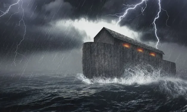 Why did Noah need such a big ark?