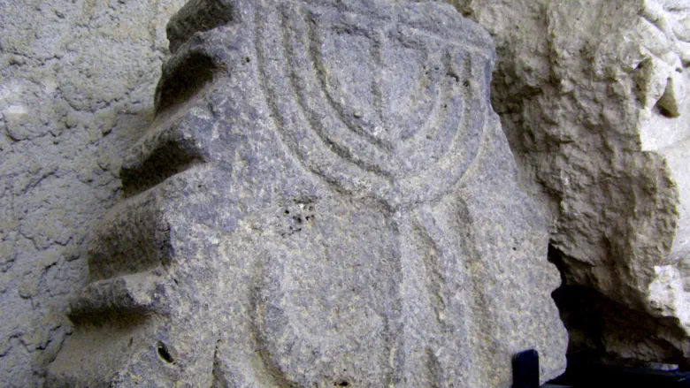 Archaeological evidence-the “Occupation” canard vaccine